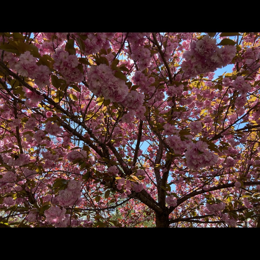 Meet your Posher, Helen